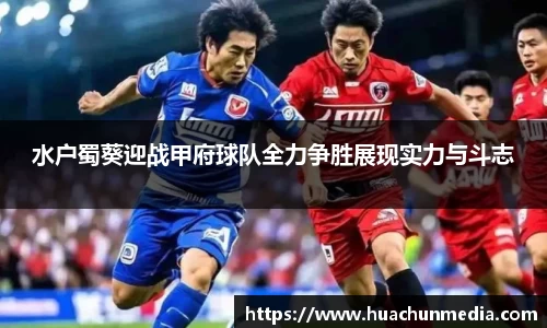 水户蜀葵迎战甲府球队全力争胜展现实力与斗志