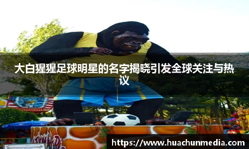 大白猩猩足球明星的名字揭晓引发全球关注与热议