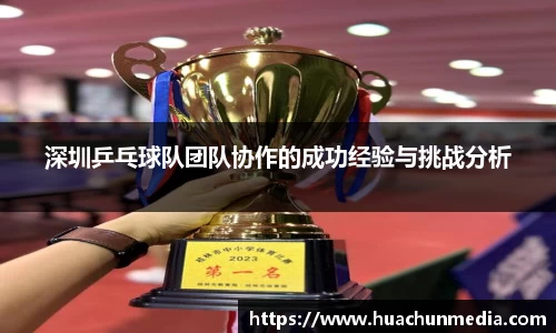 深圳乒乓球队团队协作的成功经验与挑战分析